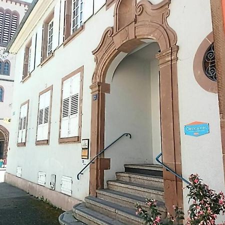 Un Petit Nid Atypique Au Coeur De Munster Apartment Munster  Exterior photo